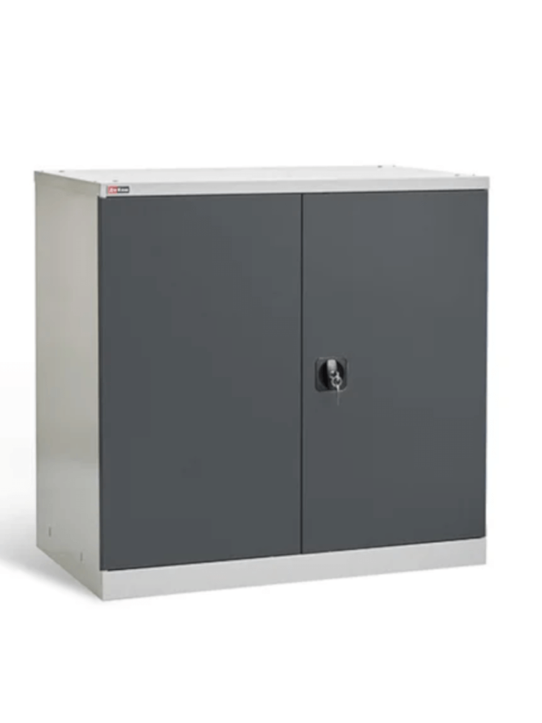 Шкаф инструментальный ДиКом ВЛ-051-02 купить в Новосибирске Шкаф инструментальный ДиКом ВЛ-051-02 купить в Новосибирске