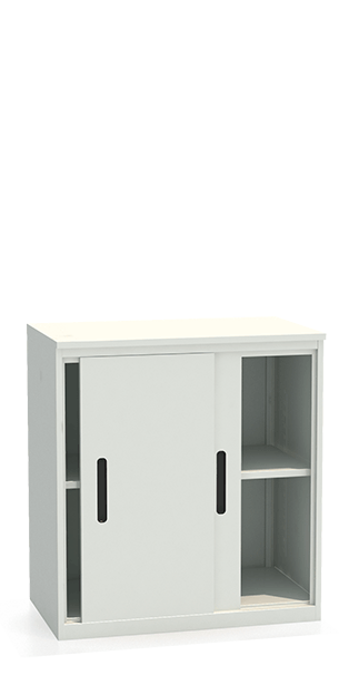 Шкаф-купе архивный ALS-8896 купить в Новосибирске Шкаф-купе архивный ALS-8896 купить в Новосибирске