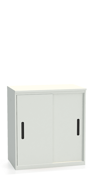 Шкаф-купе архивный ALS-8896 купить в Новосибирске Шкаф-купе архивный ALS-8896 купить в Новосибирске